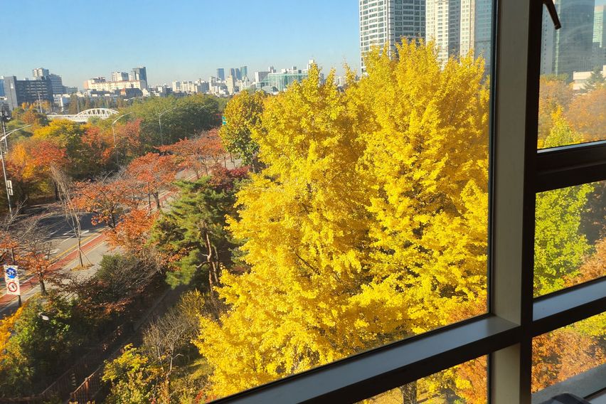 여의도최고급트럼프월드