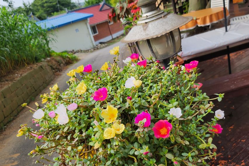 강화도. 펜션 시그너스