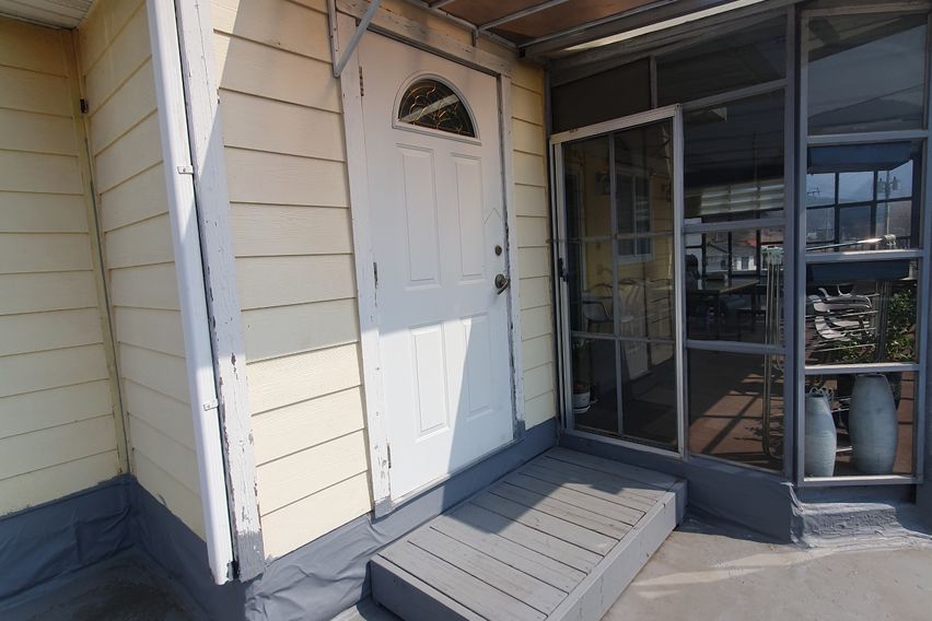 프리지아 2번째 이미지