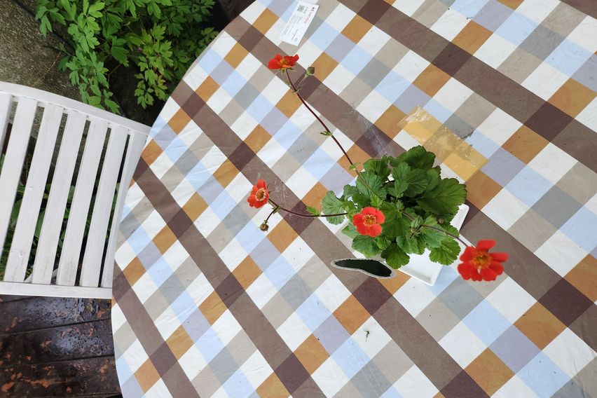 강화 오션뷰 펜션딥그린