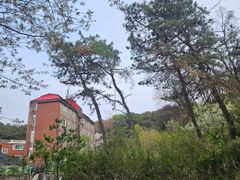 스타필드#화서역숲속주택 16번째 이미지