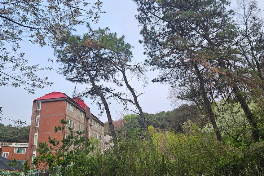 스타필드#화서역숲속주택 16번째 이미지