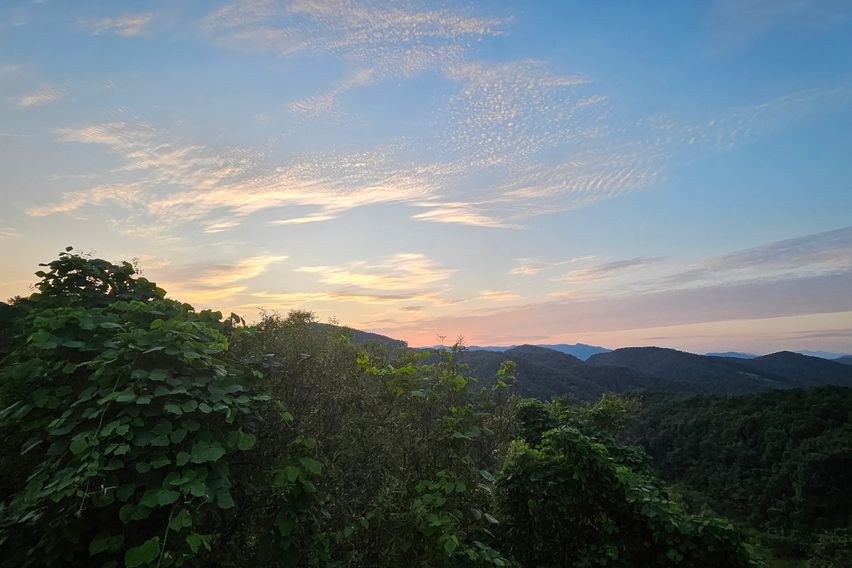 브리브리테스트