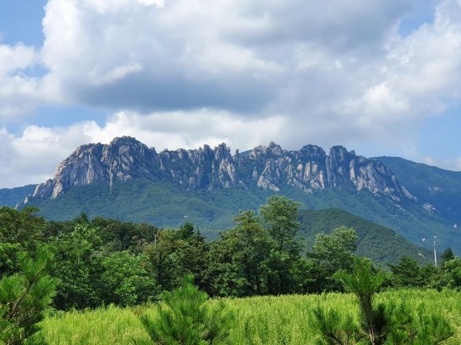 하이디해피하우스  1번째 이미지