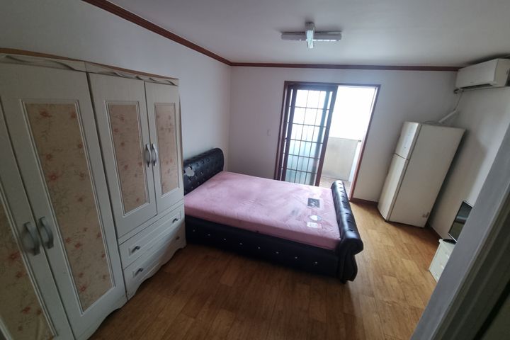 Jinhae Cherry Blossoms / Vacant Studio Apartm 0th image