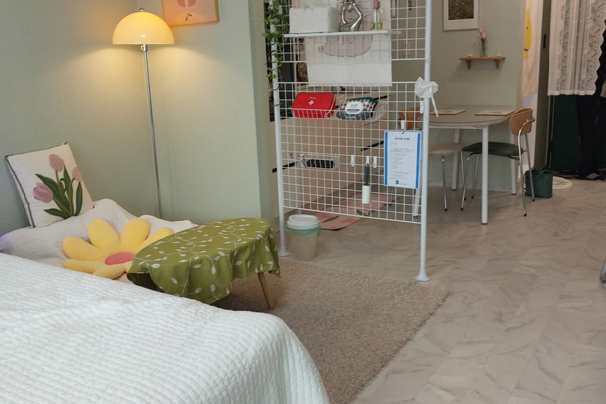 둔산동출장🤩아늑/깔끔