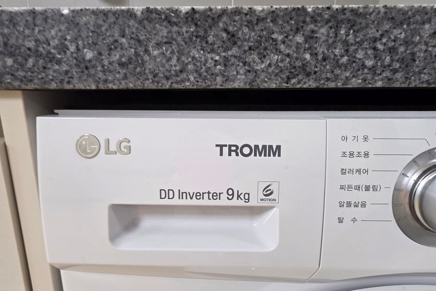 주엽동 삼부르네상스