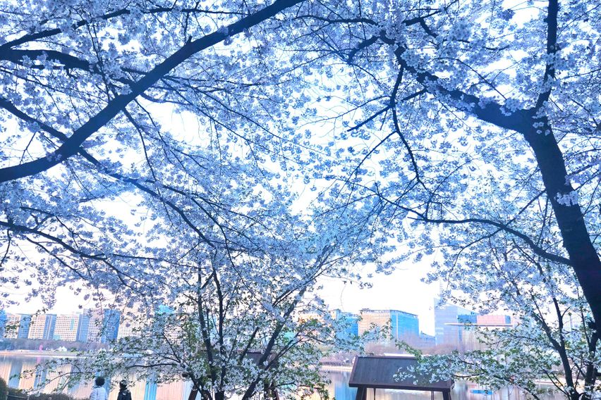 오픈특가💙깔끔복층N8 16번째 이미지