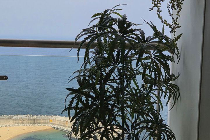 파노라마오션뷰 일출맛집 15번째 이미지