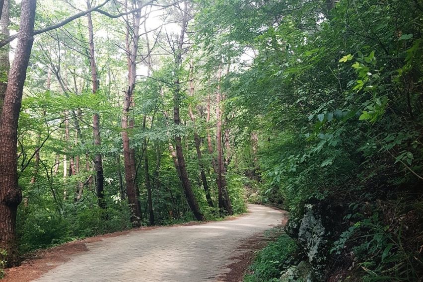 구례 황토방쉼터/휴심정 13번째 이미지