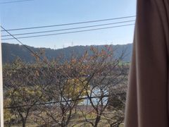 태화강국가정원 담긴집♧ 12번째 이미지
