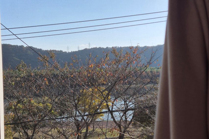 태화강국가정원 담긴집♧ 10번째 이미지