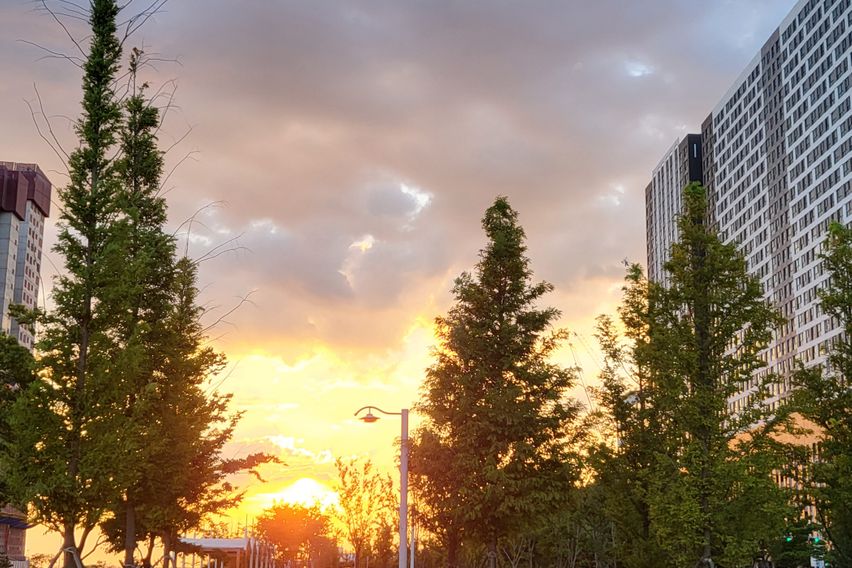 마리나오션스테이 코지