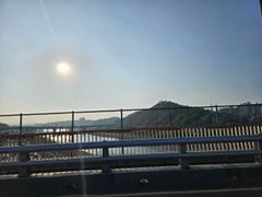 종로성수왕십리애견주차 16번째 이미지