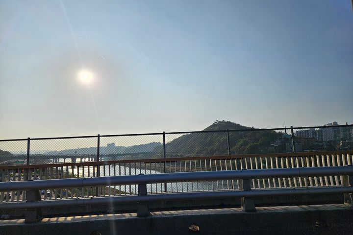 종로성수왕십리애견주차 16번째 이미지