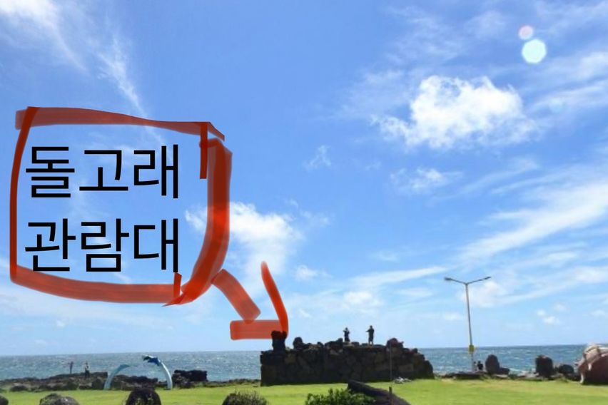 돌고래뷰 3분컷 D 13번째 이미지