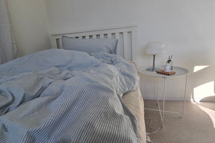 롯백성심당오픈특가🌿