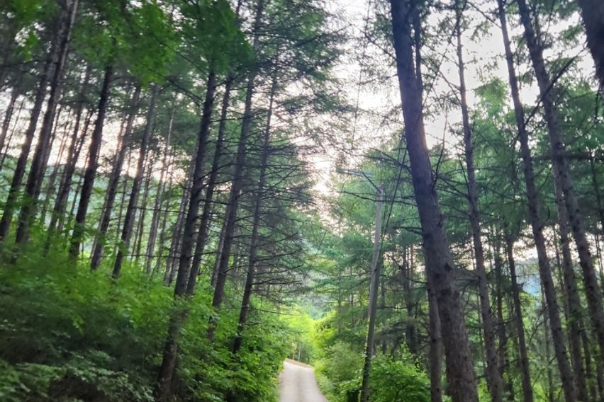 레파로(회복)의 집 12번째 이미지