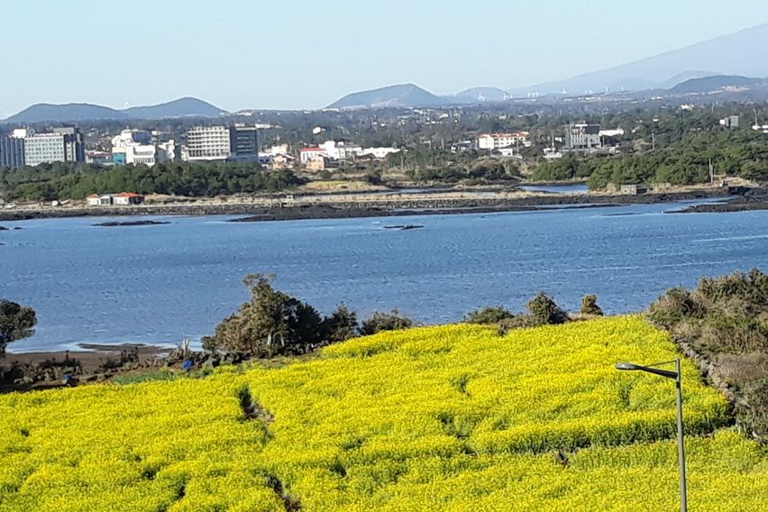성산일출봉 리치유하우스