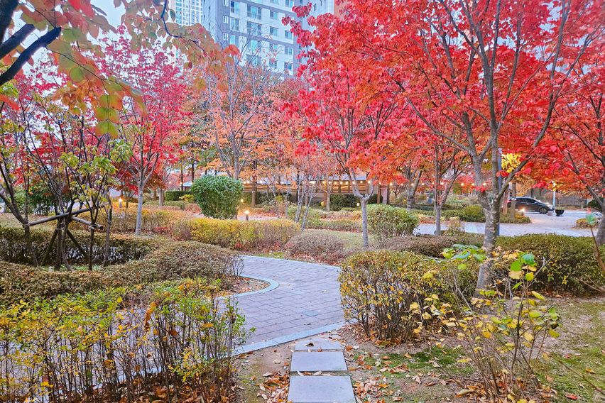 송도 달빛축제공원역 14번째 이미지