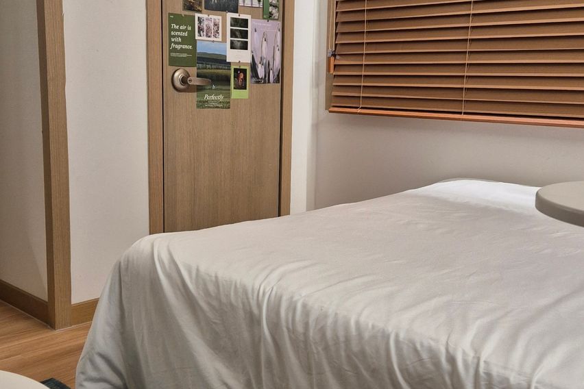 코지 스튜디오 비즈니스