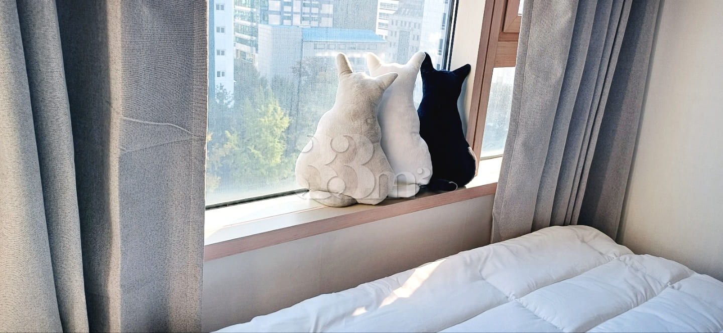 Suseo ❤️ 2-bed goose down bedding 10th image