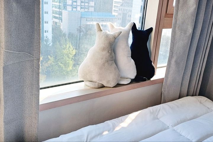 수서❤️2배드 구스침구 10번째 이미지