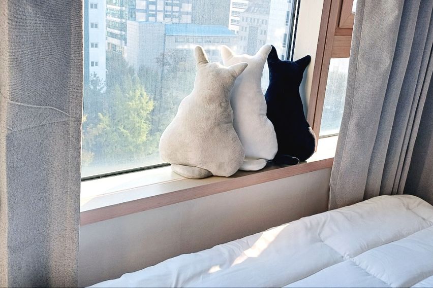 수서❤️2배드 구스침구