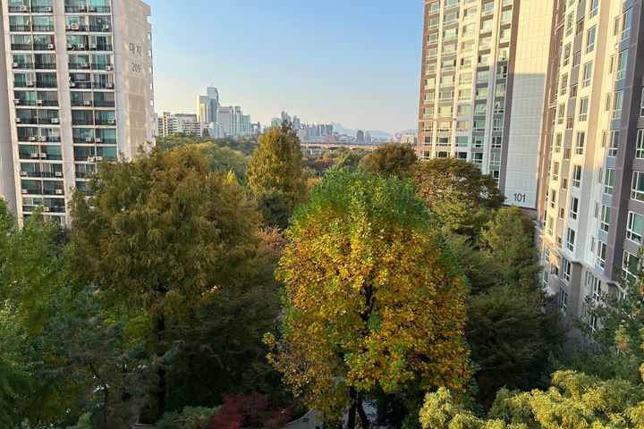 대치학원삼성병원투룸풀옵 0번째 이미지