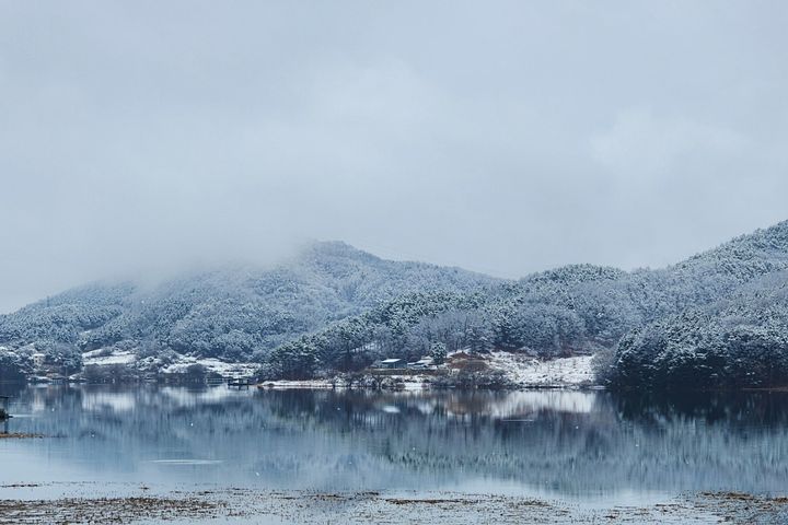 도치룸2 1번째 이미지