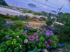 여수금오도 오션뷰 단독 12번째 이미지