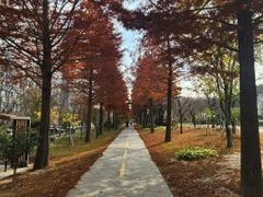 철길숲 럭셔리2 15번째 이미지