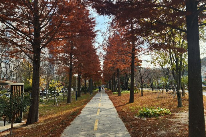철길숲 럭셔리2 15번째 이미지