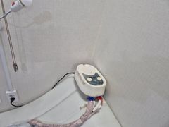 Fully Furnished Galma Unit (Pet-Friendly) 03 19th image