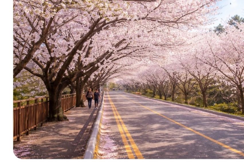 부산 해운대 바다뷰 13번째 이미지