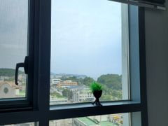 동해파인앤유오션시티19 11번째 이미지