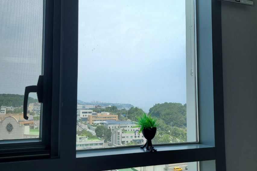 동해파인앤유오션시티19