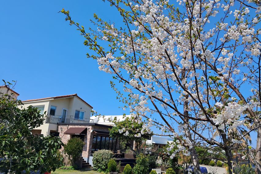 성산일출봉근처바닷가집E 17번째 이미지