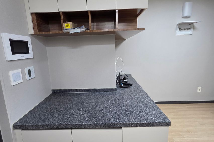 주엽동 삼부르네상스