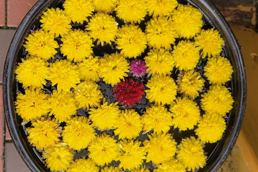 오류역5분1.5룸(D) 11번째 이미지