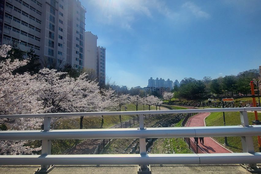 혼자여도 안심! 교통짱