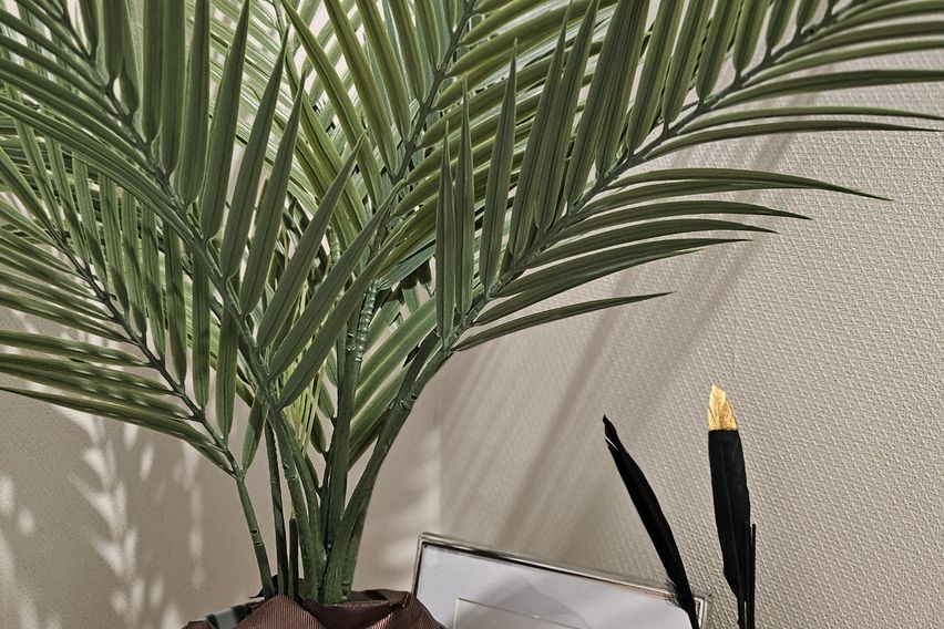 고려대인근 아늑한공간 16번째 이미지