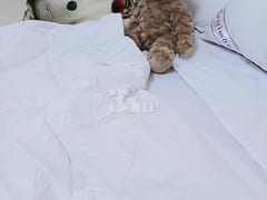 신림동최신오피스텔701 5번째 이미지