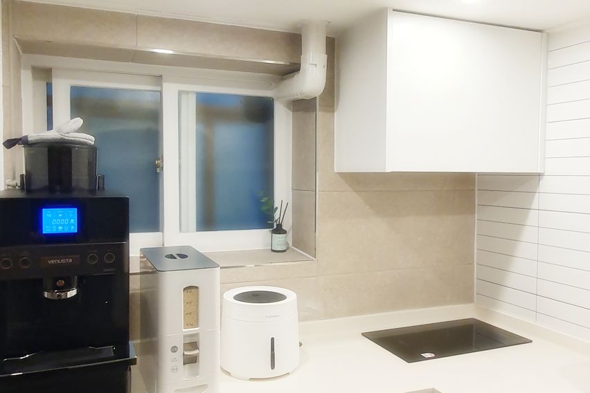 로와스테이디럭스A1타입