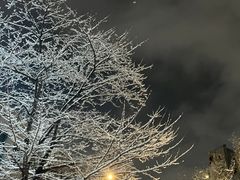 홍대입구역 1분.초역세 13번째 이미지