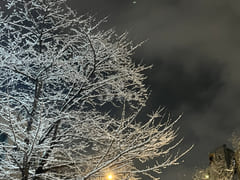 1 minute from Hongik Univ. Station; prime loc 13th image