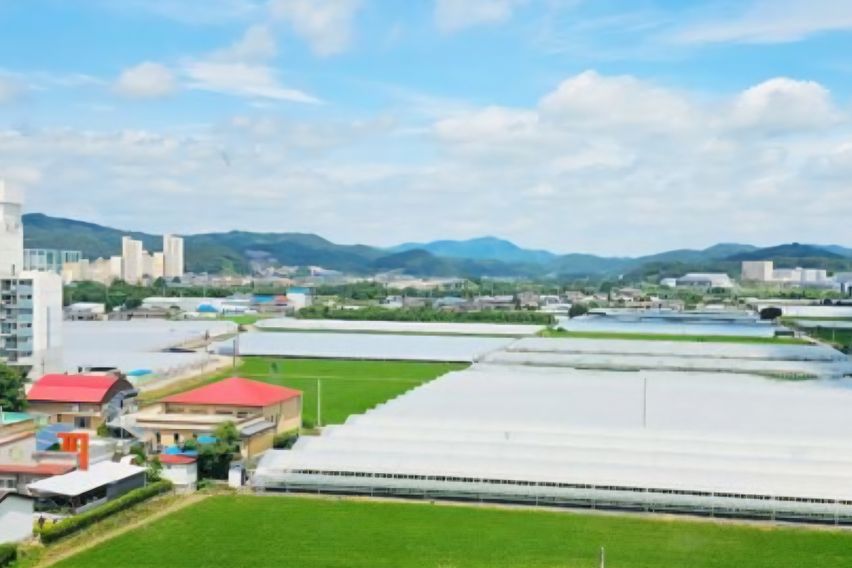 오송조치원 2인 풀옵