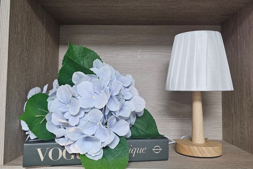 석촌호수롯데월드아산병원