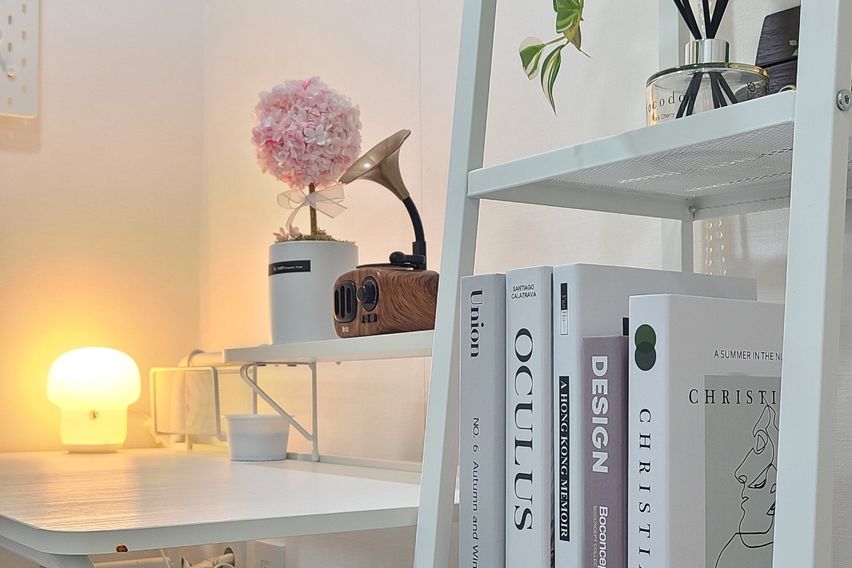 227스테이-스탠다드