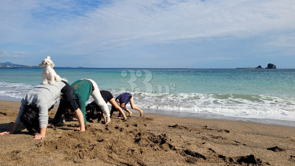3 minutes to the beach, pet-friendly (one-mon 12th image
